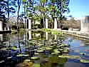 jasmine_hill_gardens_pillars_pond2.jpg (57kb)