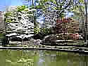 jasmine_hill_gardens_reflecting_pond.jpg (64kb)