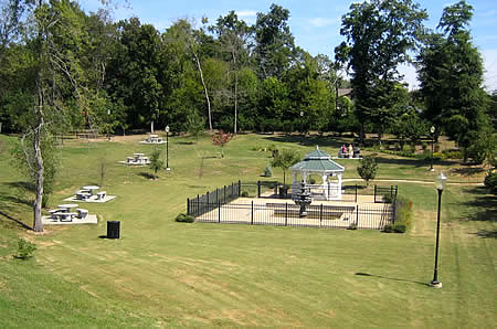 Robinson Springs Park image